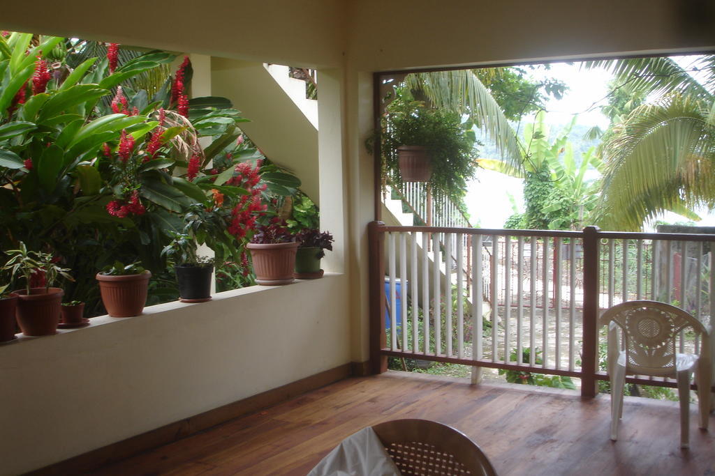 Finjam Cottage Port Antonio Eksteriør billede
