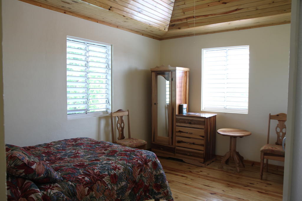 Finjam Cottage Port Antonio Værelse billede