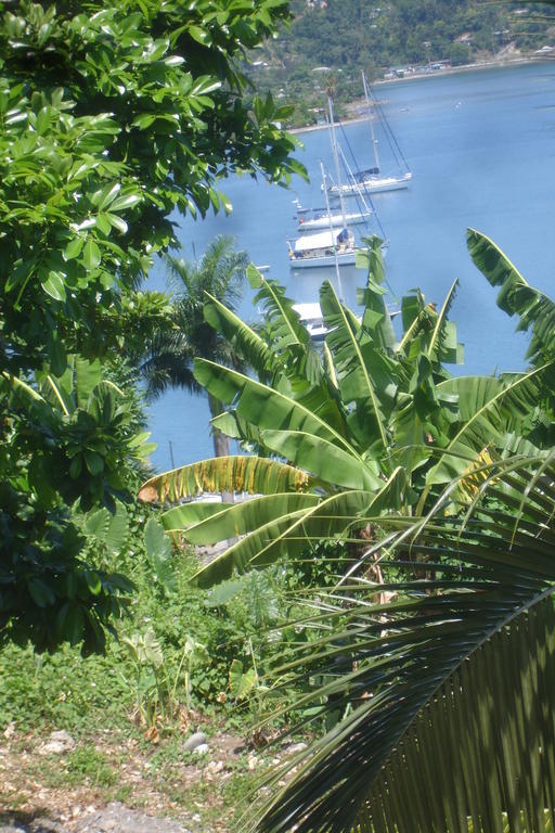 Finjam Cottage Port Antonio Eksteriør billede